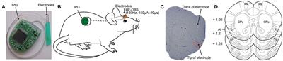 Continuous High Frequency Deep Brain Stimulation of the Rat Anterior Insula Attenuates the Relapse Post Withdrawal and Strengthens the Extinction of Morphine Seeking